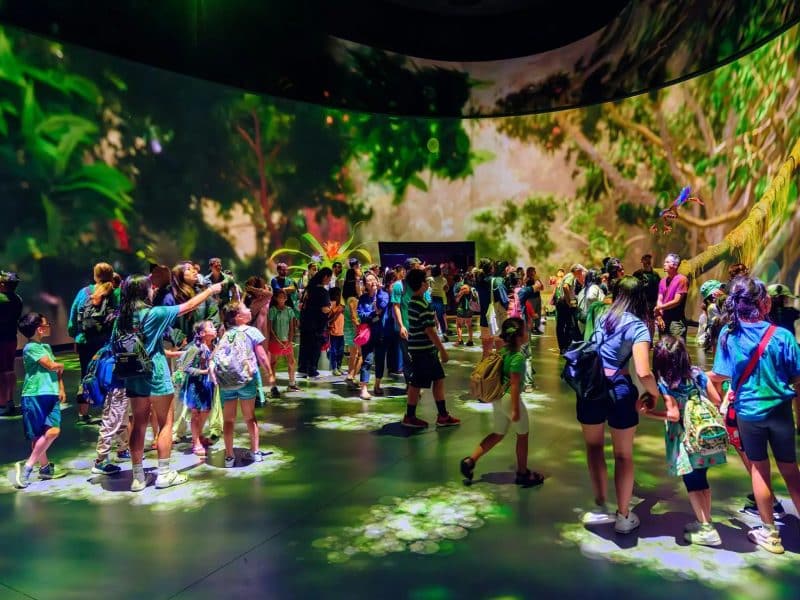 Crowd of visitors, including children, exploring immersive exhibition at the American Museum of Natural History, surrounded by vibrant jungle-themed projections.