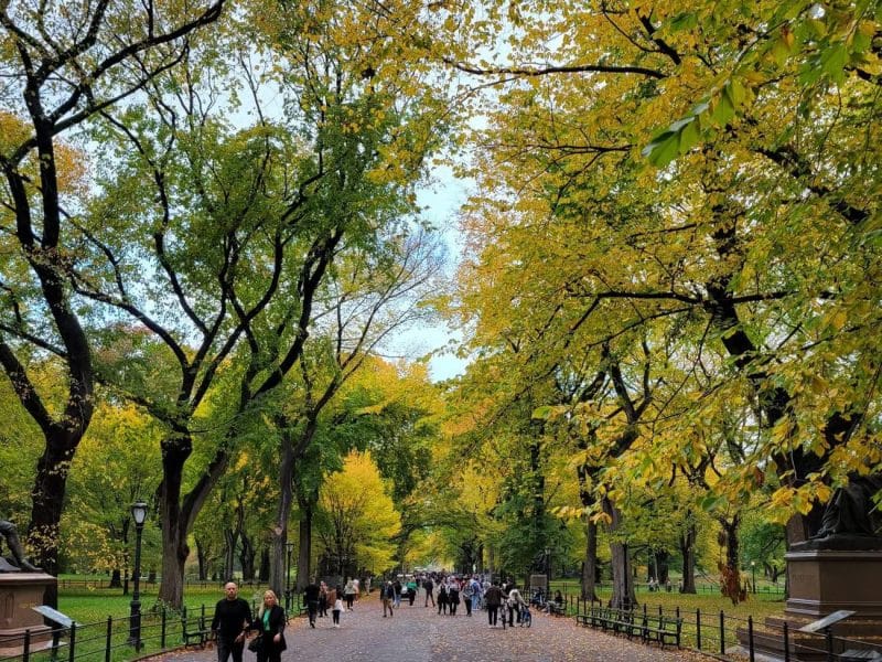 qode-ouml-gallery-img