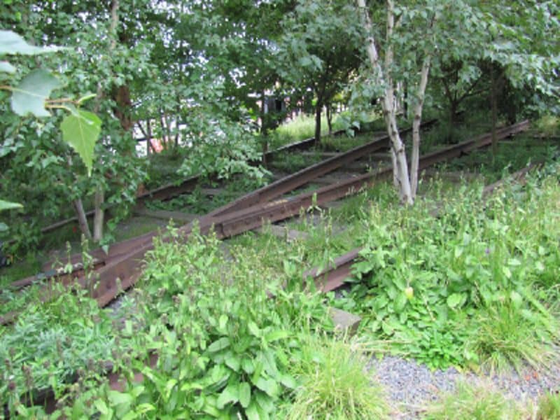 qode-ouml-gallery-img