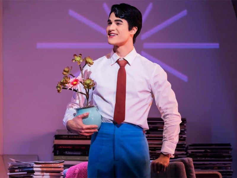 Darren Criss as Oliver holding a plant in a cozy apartment setting from the musical "Maybe Happy Ending," showcasing a blend of romance and comedy on Broadway.