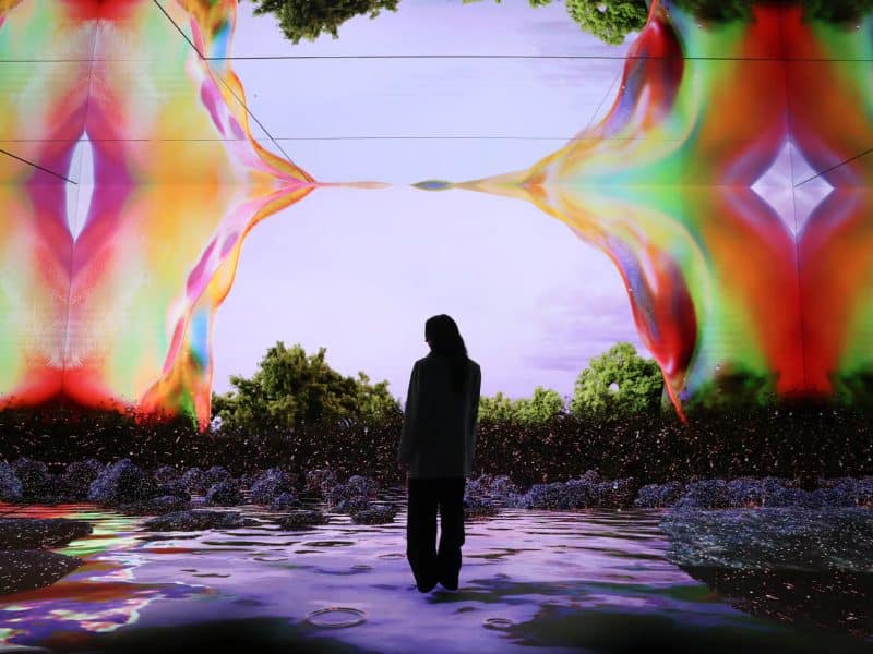 Person standing in immersive, colorful digital landscape with abstract visuals and reflections, representing the interactive experiences at Mercer Labs Museum of Art and Technology.