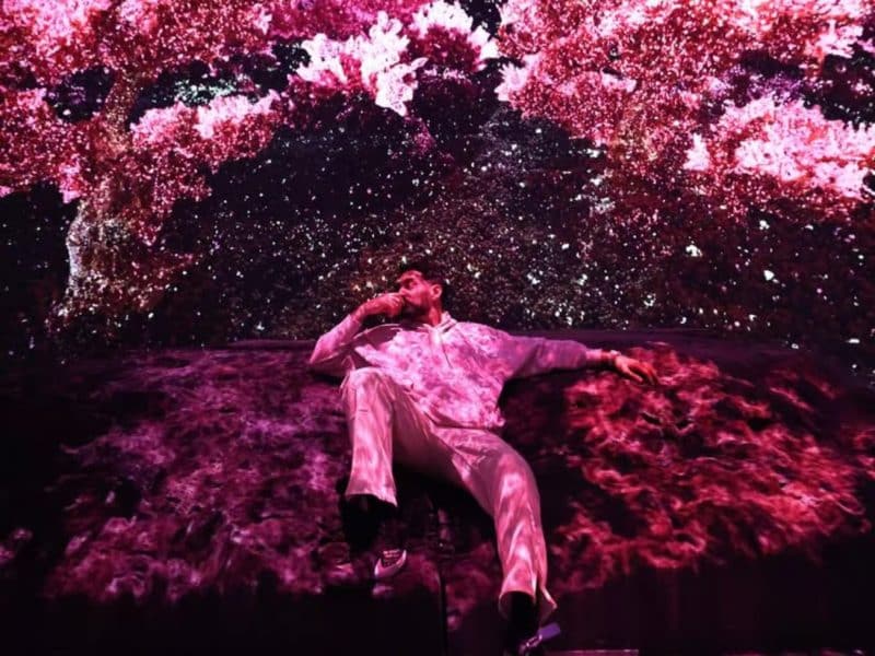 Person lounging against a backdrop of vibrant, immersive digital art featuring pink blossoms and starry visuals, showcasing the interactive experiences at Mercer Labs Museum of Art and Technology.