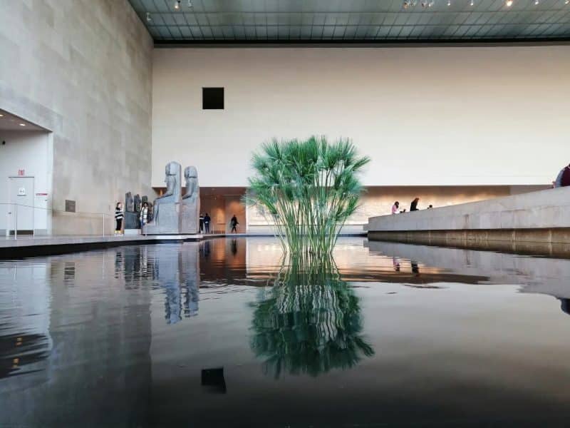 Interior view of the Metropolitan Museum of Art featuring a reflective pool, green plant arrangement, and sculptural artworks, highlighting the museum's artistic ambiance for guided tours.