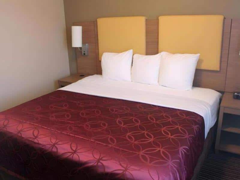 Cozy hotel room at Days Inn by Wyndham Brooklyn Borough Park featuring a queen bed with red bedding, three white pillows, and bedside lamps, emphasizing comfort and relaxation for guests.
