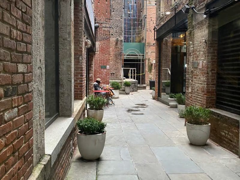 Historic alleyway in Southern Manhattan, featuring brick walls, planters, and a seated figure, illustrating the charm of the neighborhood explored in the French guided tour.