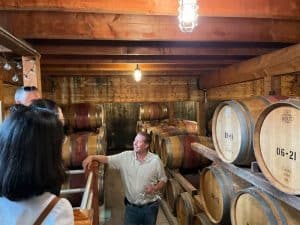 Long Island Sommelier-Guided Wine Tasting Tour