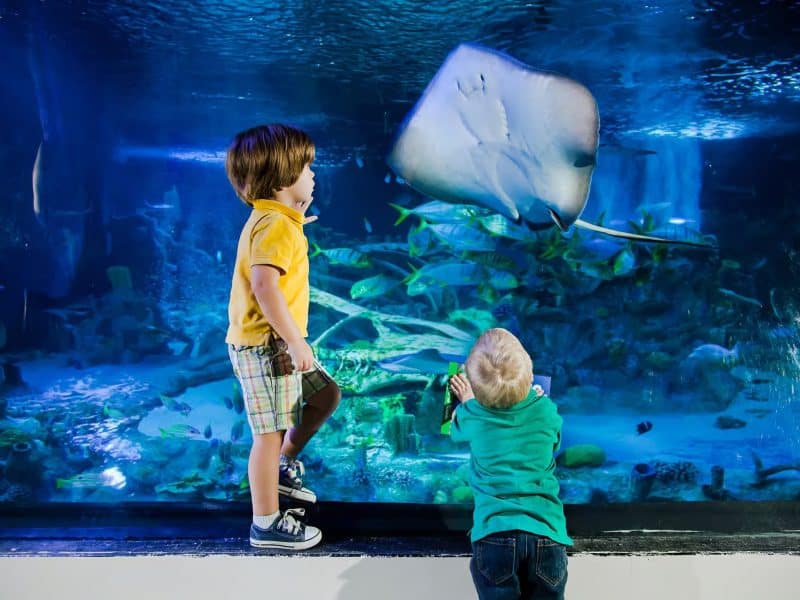 qode-ouml-gallery-img