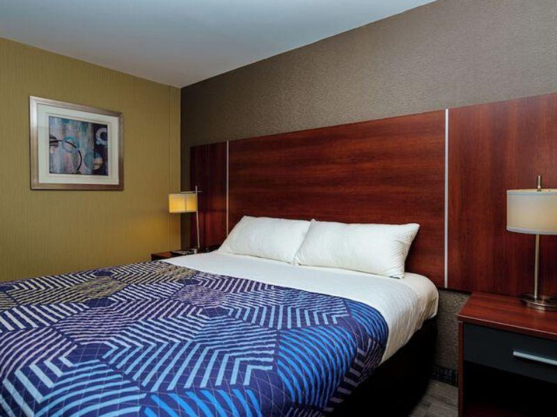 Cozy hotel room at Sky Hotel Flushing featuring a queen bed with patterned bedding, bedside lamps, and artwork, emphasizing comfortable accommodations near LaGuardia Airport.