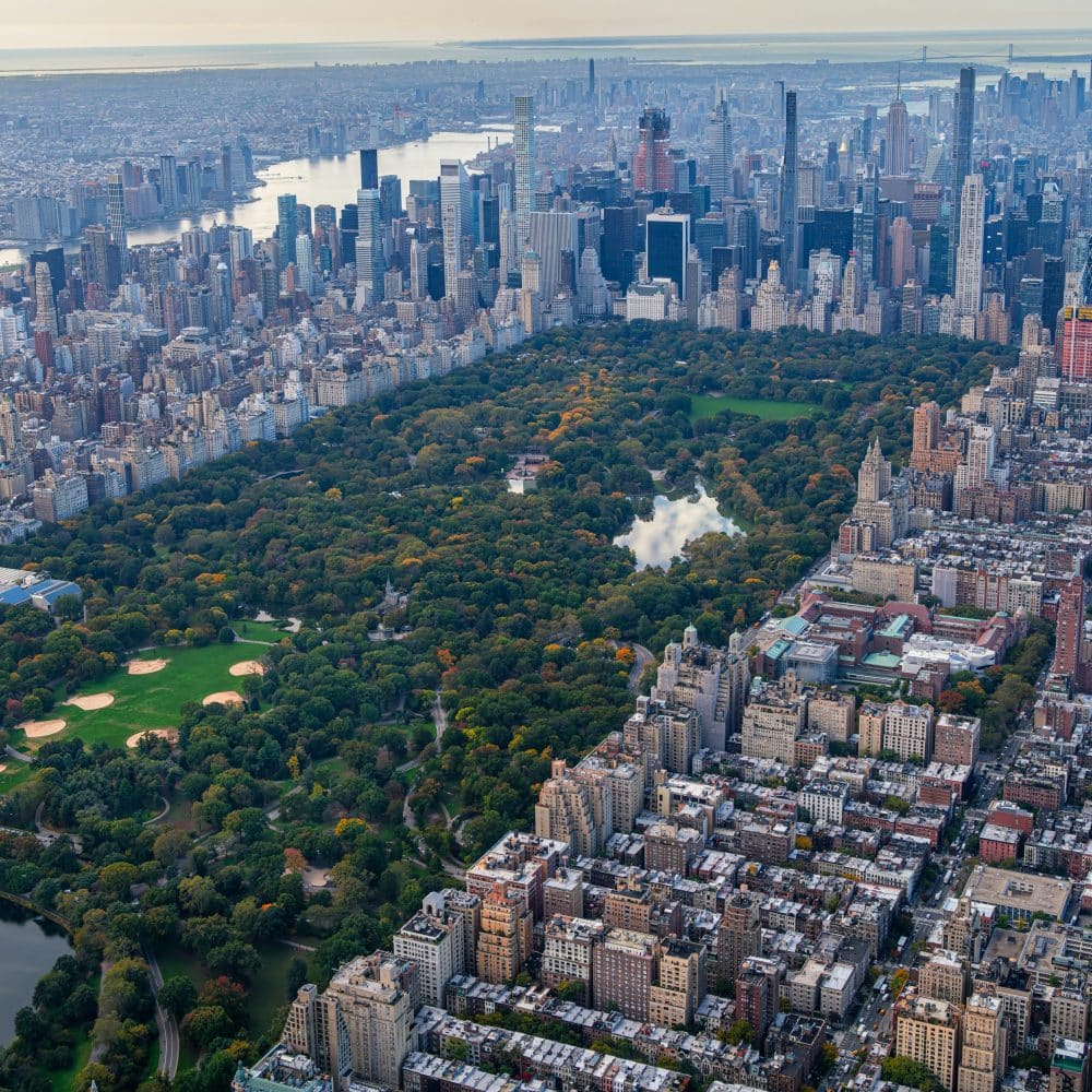 Aerial view of Central Park with lush greenery, surrounded by Manhattan skyline, showcasing urban landscape and iconic city features.