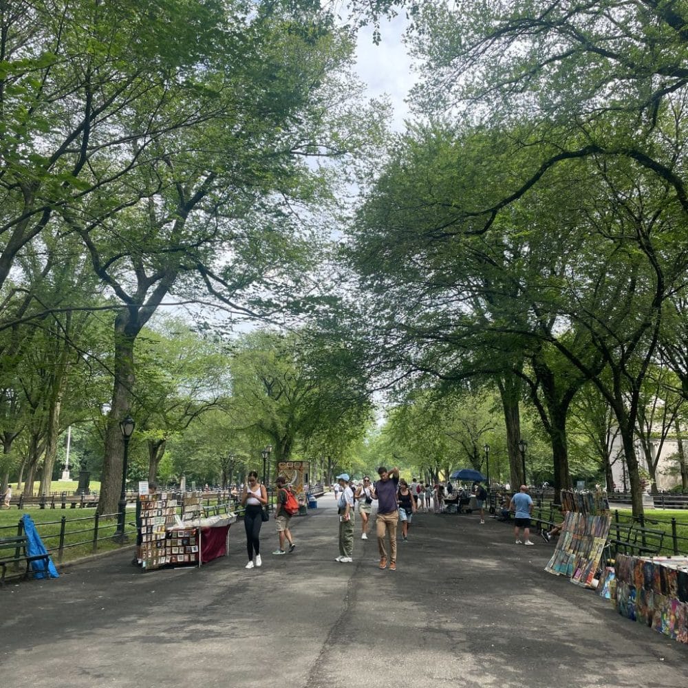 Central Park pathway lined with trees, art vendors displaying paintings, and visitors strolling, capturing the essence of mindful exploration in New York City.