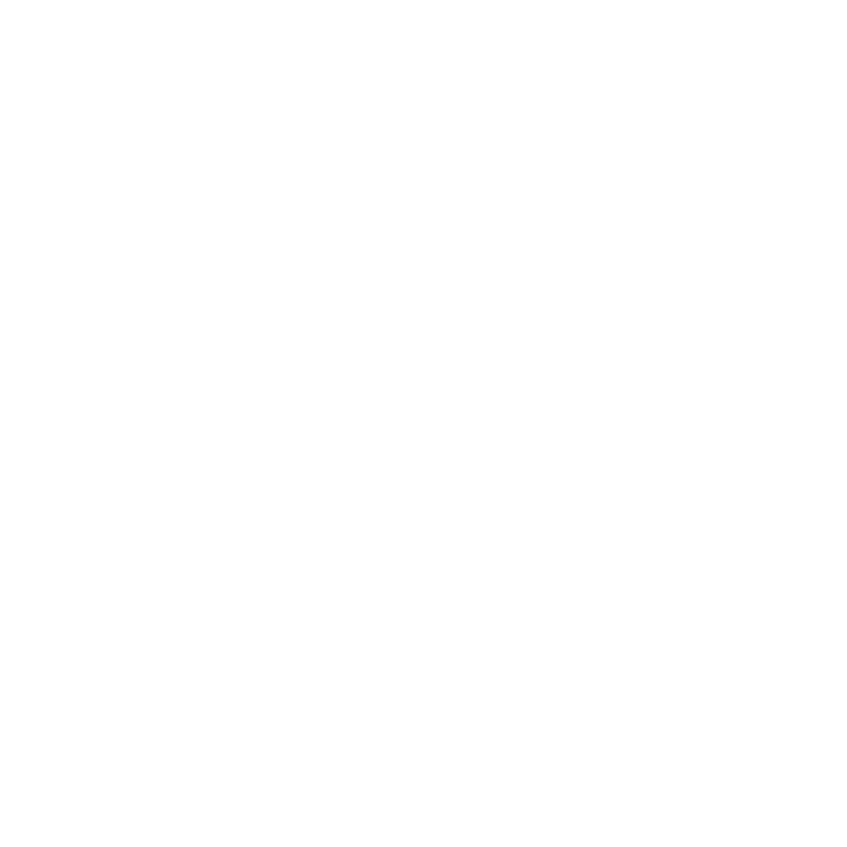 Tour guide icon holding a megaphone, representing tours and excursions in New York City.