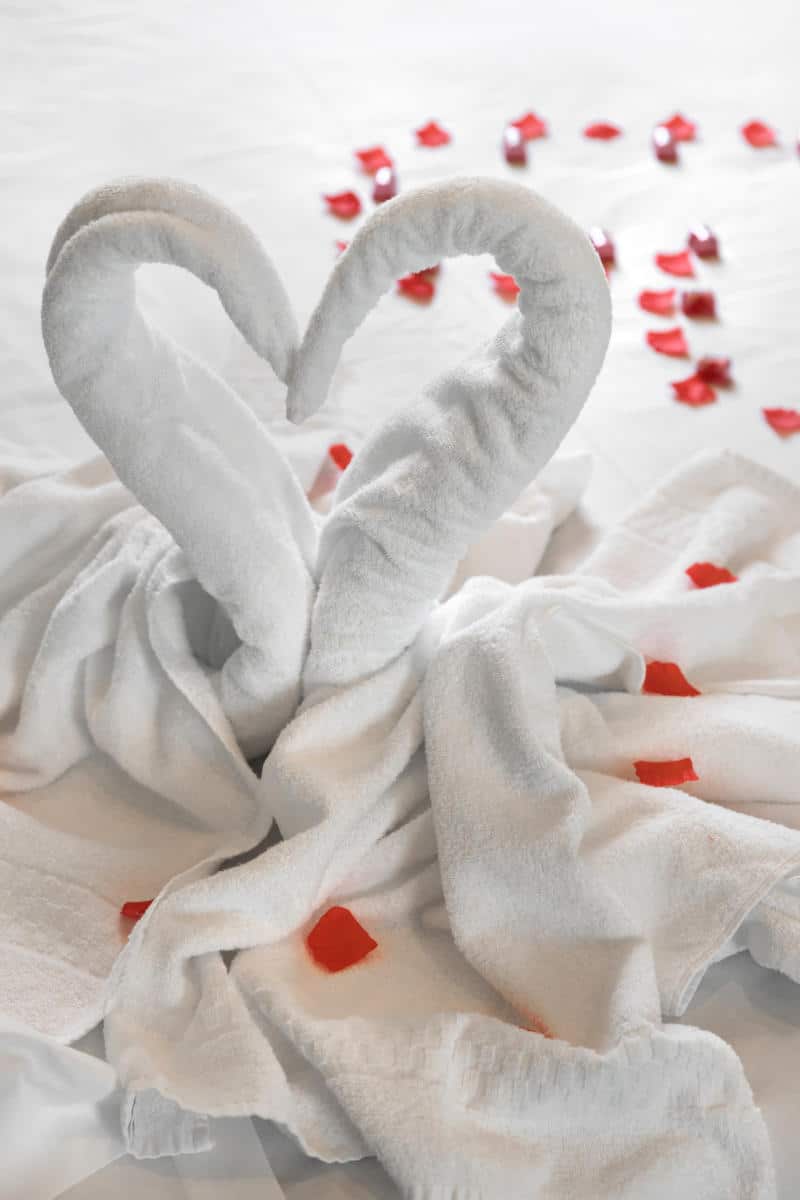 Towel art shaped like swans with rose petals, symbolizing romantic hotel experiences in New York City.