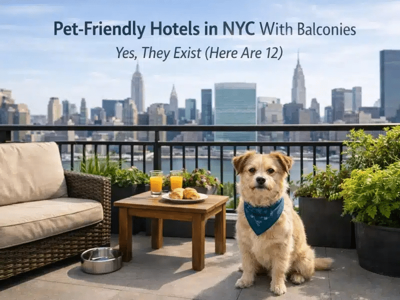 Pet-Friendly Hotels in NYC